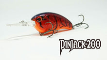 Load image into Gallery viewer, Ima Pin Jack 200