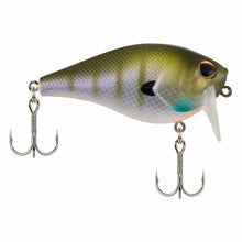 Load image into Gallery viewer, Berkley Wakebull 60