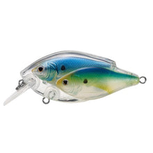 Load image into Gallery viewer, Koppers Live Target Baitball