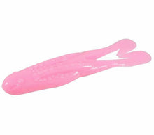 Load image into Gallery viewer, Zoom Horny Toad