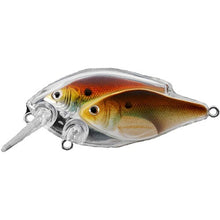 Load image into Gallery viewer, Koppers Live Target Baitball