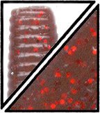 Load image into Gallery viewer, Yamamoto Senko 5"