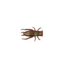 Load image into Gallery viewer, Berkley Gulp Cricket 1”