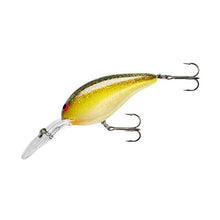 Load image into Gallery viewer, Norman Lures - Deep Little N