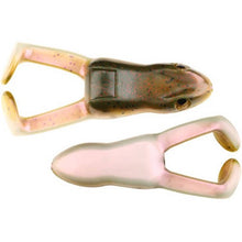 Load image into Gallery viewer, Stanley Ribbit Top Toad