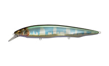 Load image into Gallery viewer, Megabass Kanata