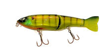 Load image into Gallery viewer, Jerry Rago Baits Cha Cha Glide 5”