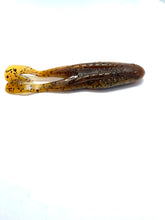 Load image into Gallery viewer, Zoom Horny Toad