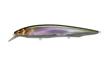 Load image into Gallery viewer, Megabass Kanata