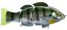 Load image into Gallery viewer, Lucky Craft Real BG 150SS