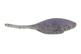 Load image into Gallery viewer, Bass Assassin - Panfish Assassin TinyShad 1.5”