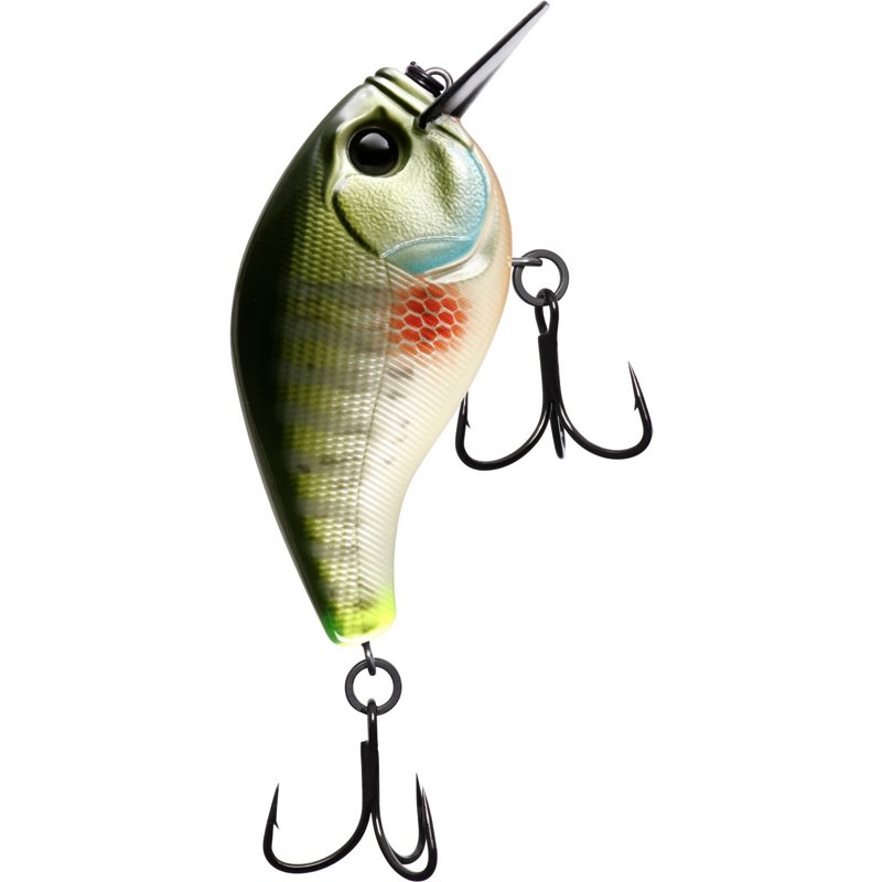 13 Fishing Scamp Square Bill