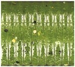 Load image into Gallery viewer, Yamamoto 5" Shad Shape Floater
