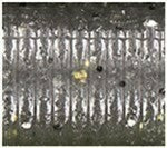 Load image into Gallery viewer, Yamamoto 5" Shad Shape Floater
