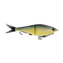 Load image into Gallery viewer, Berkley PowerBait Chop Block
