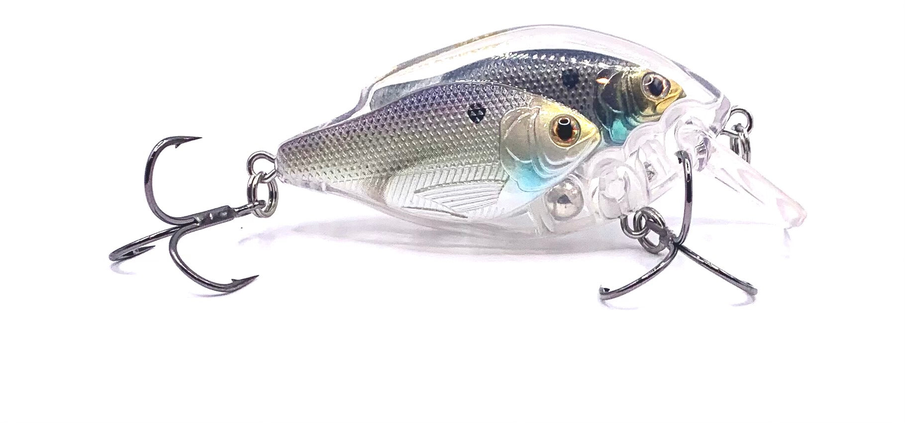 Live Target Baitball Series