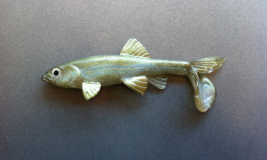 Little Creeper Baits Trash Fish  6"