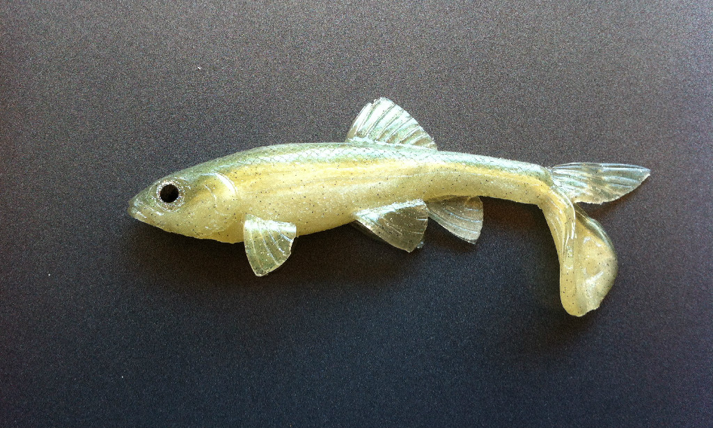 Little Creeper Baits Trash Fish  6"