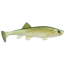 Load image into Gallery viewer, FishLab Soft Bio-Minnow
